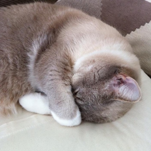 Meet your Posher, Helen - Picture 15 of 16